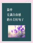 美好生活唯美精句