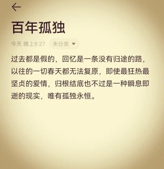 灿烂，用寂寞偿还