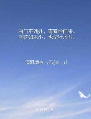 青春一半，似水流年