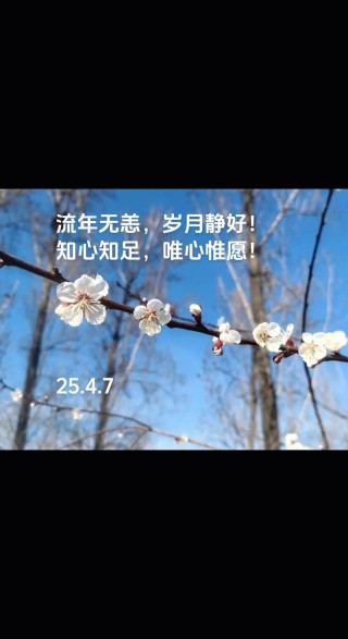 轻依岁月，静守流年