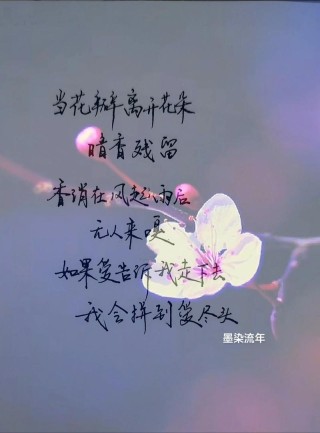 孤独，亦可旖旎成花