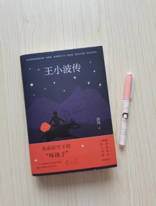 读王小波的怀疑