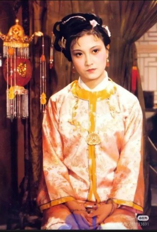 【少年游】《红楼梦断·（七）贾迎春》