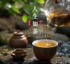 茶语丨人生如茶，淡然自若，与世无争