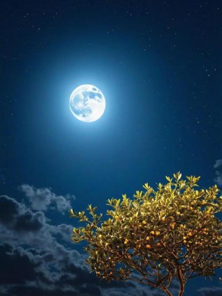 秋夜