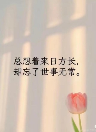 【对简单生活的感慨】