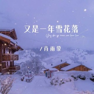 又是一年飘雪时