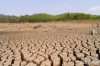 干旱