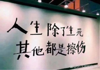 终于熬成了不想和任何人说话，厌倦了这世上的是是非非
