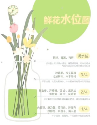 延长鲜花保鲜期的保养方法