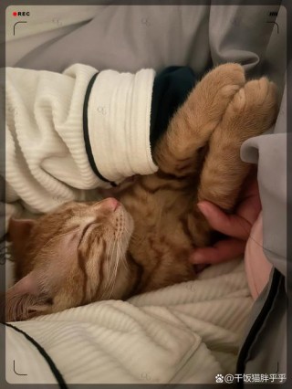 我喜欢这样温暖的慵懒