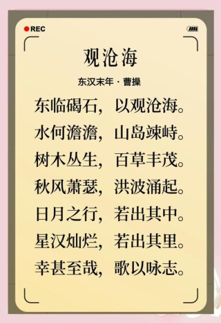 沧海遗珠的意思是什么意思（沧海遗珠的意思是什么）