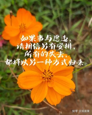 干净文案治愈短句（干净治愈文案短句）