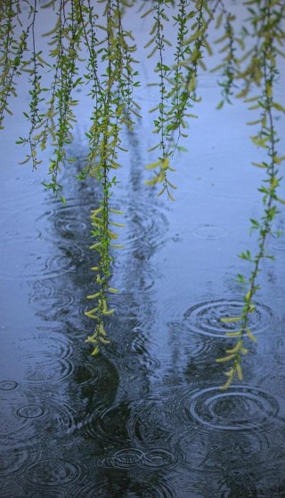 春风化雨，春风化雨，润物无声