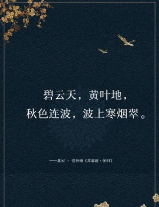 款款秋意浓，悠悠秋情深