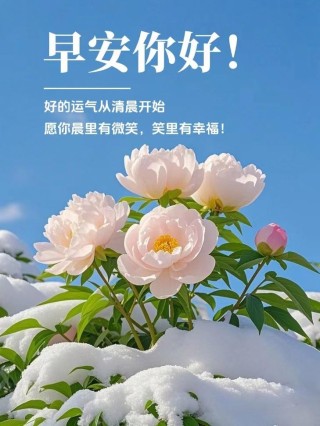 干净暖心祝福语（特别甜,暖心的句子）