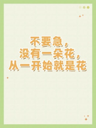 没有一朵花开得那么容易