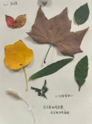 秋天里的畅想曲