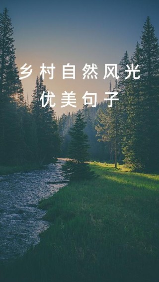 《一个人的村庄》朴素而又沉静的18句话，带你寻回心灵的净土