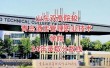 青岛酒店管理职业技术学院在广东录取分数线2025年是多少（2025~2023近三年分数位次）
