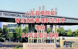 青岛酒店管理职业技术学院在广东录取分数线2025年是多少（2025~2023近三年分数位次）