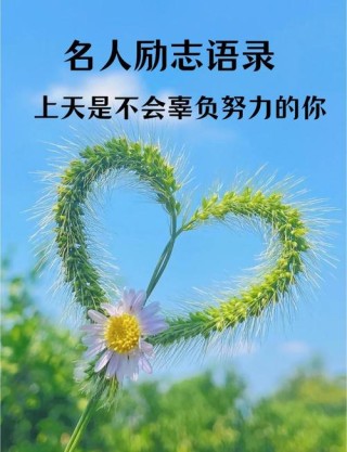 精辟励志语录，句句经典