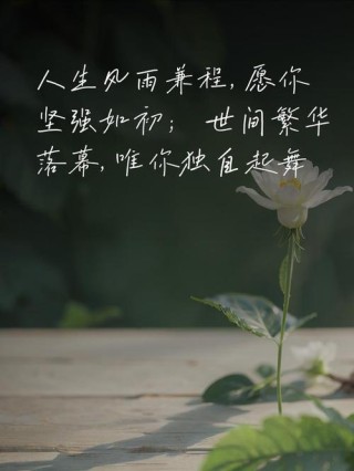 人生最佳短句，人生的最佳短句，珍惜当下，笑对未来。