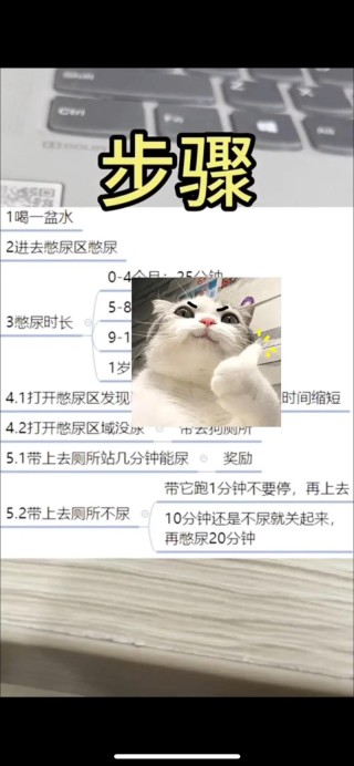 职场中如何获得“狗屎运”？