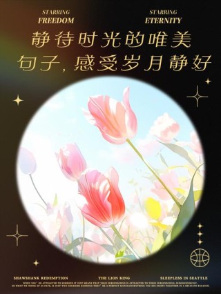 岁月静好，我还是我