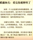 不要打着充实的借口浪费时间?励志文章