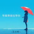 送你风雨中