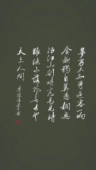 红尘似海，心若梅开