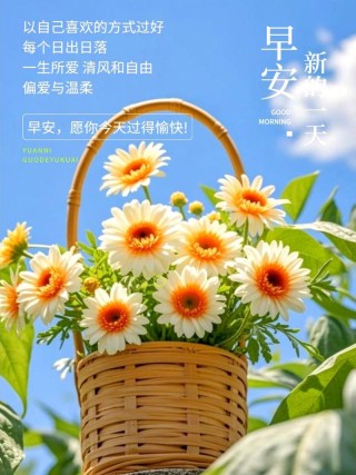 2024清晨漂亮的唯美早安图片，最新暖心问候祝福早安的句子