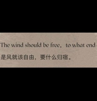 风是自由的，你也是，独处未必孤独，自己喜欢就是自由