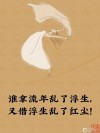 我拿流年，乱了浮生