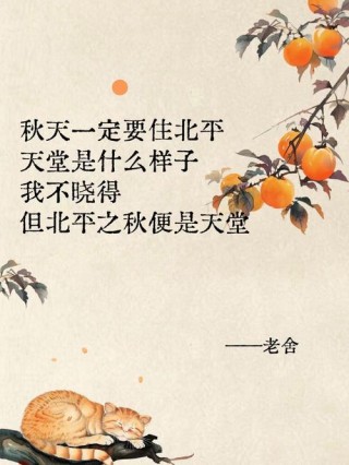 北京“秋雪”的故事