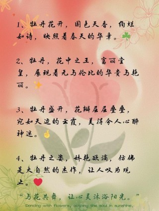 关于花的唯美短句你知道多少？