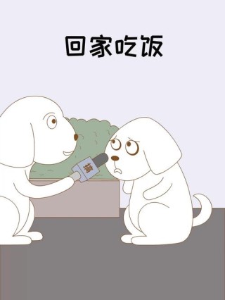 你回家吃饭了吗