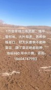 后期务农 （打一字）