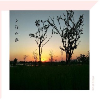 夕阳下的影望：第八章