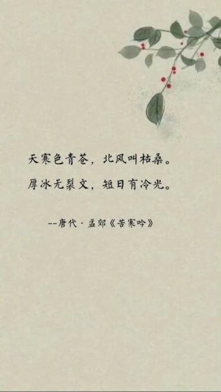 屋外清寒，道爱无边