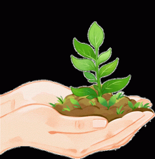 撒播环保种子，放飞绿色希望