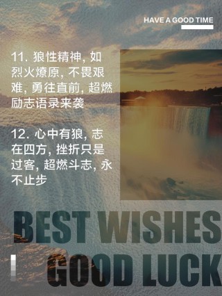 狼的五十句格言！（太经典了）