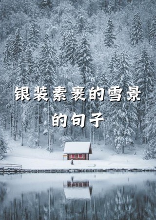 27个关于雪的绝美句子