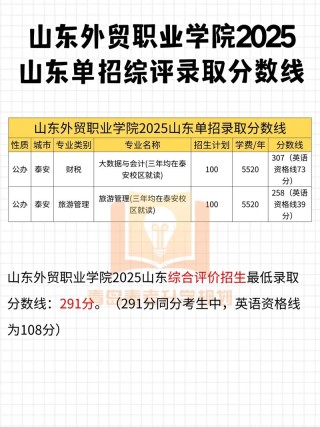 山东外贸职业学院2025年录取分数线是多少「在各省录取最低分」