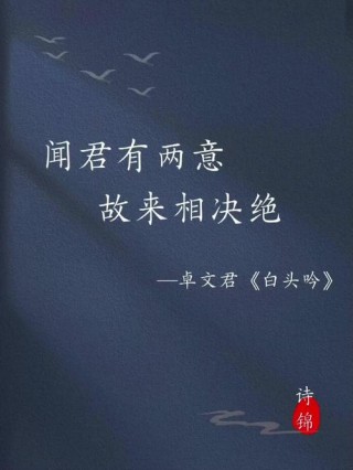 君于我，早已诀别。