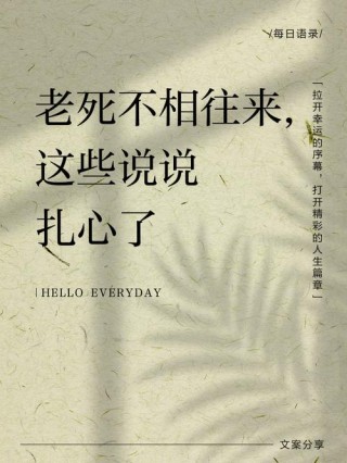 谈爱已老谈死太早