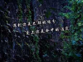 三叔走进我的梦