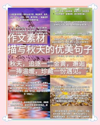 秋天的句子短句唯美 描写秋风的优美句子