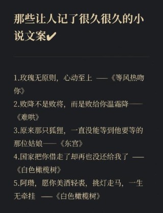 那些惊艳了你的小说语录，惊艳心灵的经典小说语录